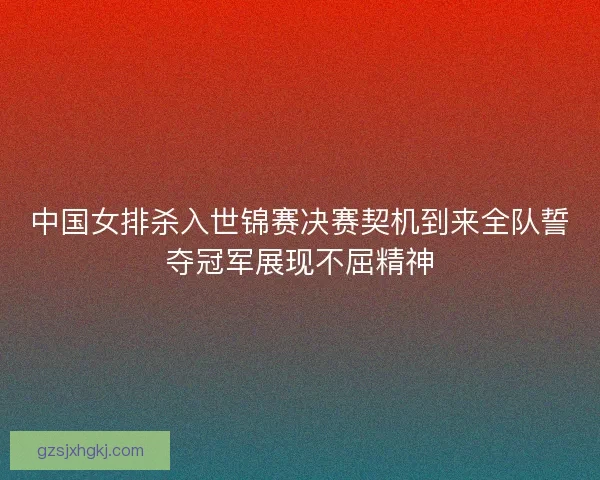 中国女排杀入世锦赛决赛契机到来全队誓夺冠军展现不屈精神
