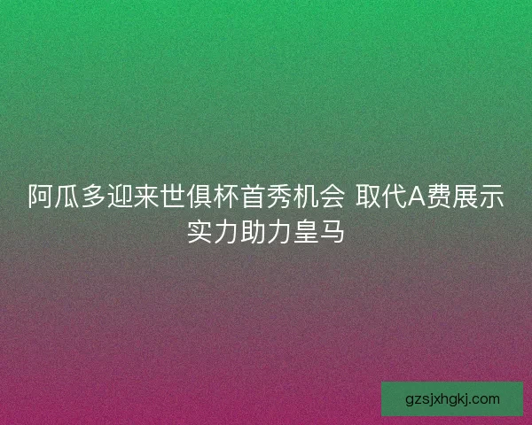 阿瓜多迎来世俱杯首秀机会 取代A费展示实力助力皇马