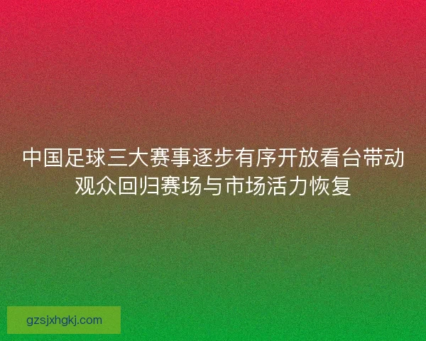 中国足球三大赛事逐步有序开放看台带动观众回归赛场与市场活力恢复