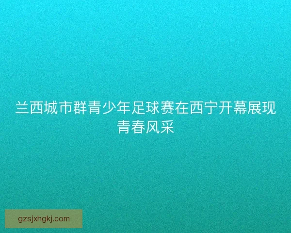 兰西城市群青少年足球赛在西宁开幕展现青春风采